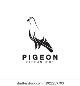 Pigeon Bird Logo Vector Icon Illustration Design Template