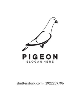Pigeon bird logo vector icon illustration design template