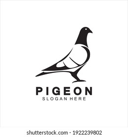 Pigeon bird logo vector icon illustration design template