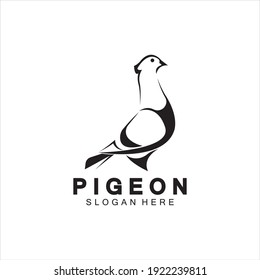 Pigeon bird logo vector icon illustration design template