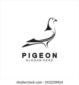 Pigeon bird logo vector icon illustration design template