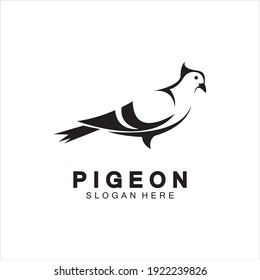 Pigeon bird logo vector icon illustration design template