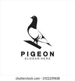Pigeon bird logo vector icon illustration design template