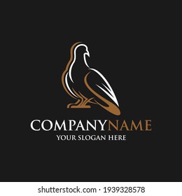 pigeon bird logo vector icon symbol