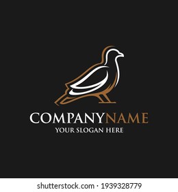pigeon bird logo vector icon symbol