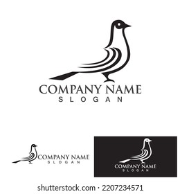 Pigeon bird logo vector icon illustration design template