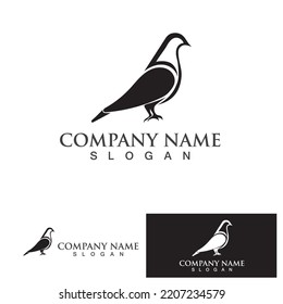 Pigeon bird logo vector icon illustration design template