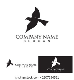 Pigeon bird logo vector icon illustration design template
