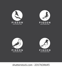 Pigeon bird logo vector icon illustration design template