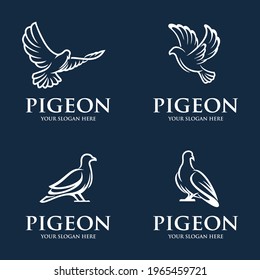 Pigeon Bird Logo Vector Symbol 