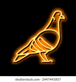 pigeon bird neon light sign vector. pigeon bird illustration