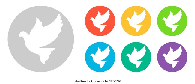 Pigeon bird on a white background. Vector illustration.