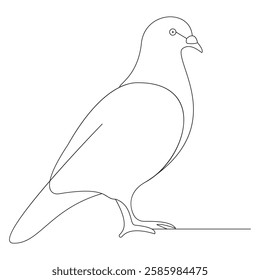 Pigeon bird one line art illustration
