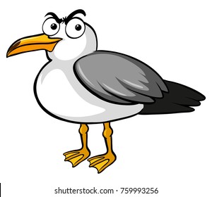 Pigeon bird with serious face illustration