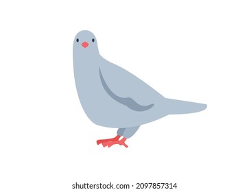 Pigeon bird. Simple flat illustration