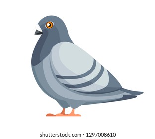 Pigeon bird sitting. Flat cartoon character design. Colorful bird icon. Cute pigeon template. Vector illustration isolated on white background.