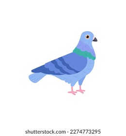 Pigeon bird standing, cartoon flat vector illustration isolated on white background. Cute rock dove. Funny animal drawing. Concepts of nature and wildlife.