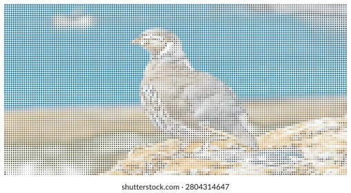 Pigeon bird standing on textured ground with blue sky in halftone style. Urban wildlife, common bird, natural outdoor setting, dotted illustration.