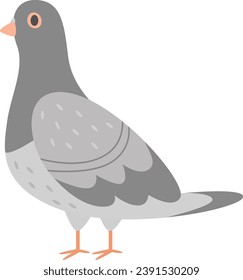 Pigeon Bird Standing Vector Illustration