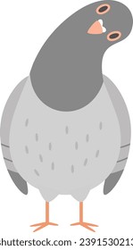 Pigeon Bird Standing Vector Illustration