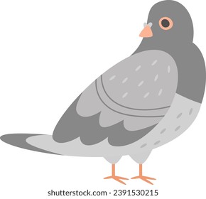 Pigeon Bird Standing Vector Illustration