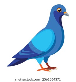 pigeon bird vector art illustration