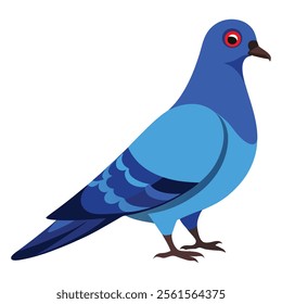 pigeon bird vector art illustration