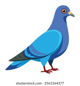 pigeon bird vector art illustration