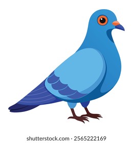 pigeon bird vector art illustration