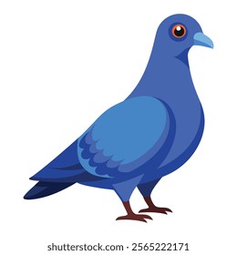 pigeon bird vector art illustration