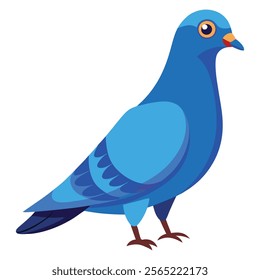 pigeon bird vector art illustration