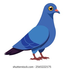 pigeon bird vector art illustration