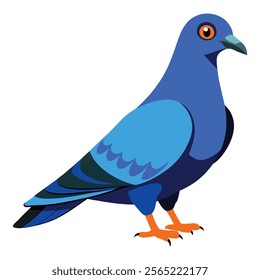 pigeon bird vector art illustration