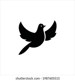 Pigeon Bird Vector Flying Animal Silhouette Graphic Design Mascot