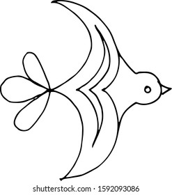 pigeon bird vector separately on a white background contour black