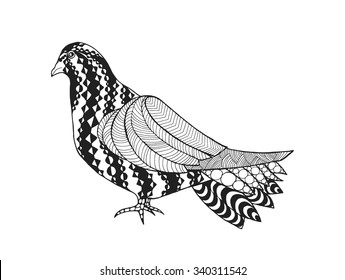 Pigeon. Birds. Black white hand drawn doodle. Ethnic patterned vector illustration. African, Indian, tribal, zentangle design. Sketch for adult anti stress coloring page, tattoo, poster, print, t-shirt