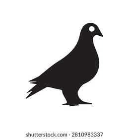 Pigeon Black and white logo