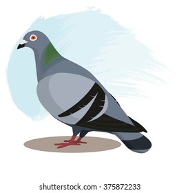 Pigeon with blue background, vector illustration