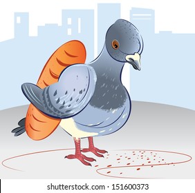 Pigeon with bread in city