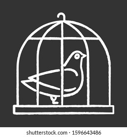 Pigeon in cage chalk icon. Captive bird. Harbinger of peace. Nightingale in captivity. Bible narrative. Christian symbol of purity. Gospel story. Isolated vector chalkboard illustration