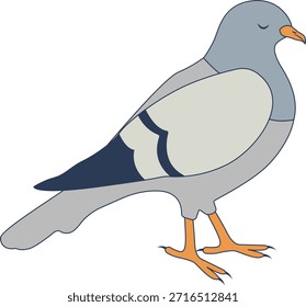 Pigeon Cartoon Character. Isolated Vector Illustration.