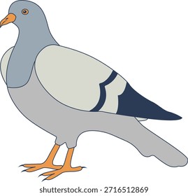 Personaje de dibujos animados de paloma. Ilustración vectorial aislada.