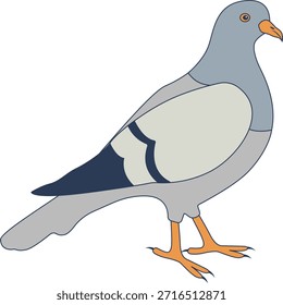 Pigeon Cartoon Character. Isolated Vector Illustration.