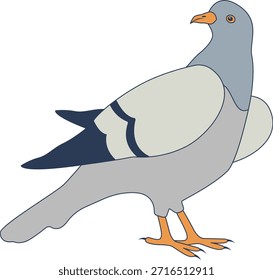 Pigeon Cartoon Character. Isolated Vector Illustration.