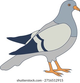Pigeon Cartoon Character. Isolated Vector Illustration.