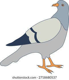 Personaje de dibujos animados de paloma. Ilustración vectorial aislada.