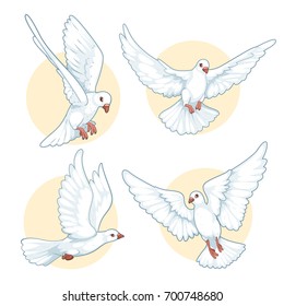pigeon cartoon set