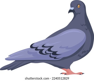 Pigeon character. City bird. Wild park animal isolated on white background