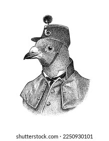 Pigeon character in a hat. The man in a suit. Fashionable Aristocrat. Hand drawn bird. Engraved old monochrome sketch.