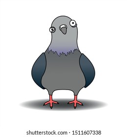 Pigeon, City Bird. Cartoon Funny Pigeon With A Suspicious Look. Crazy pigeon. Vector Illustration Isolated On A White Background.